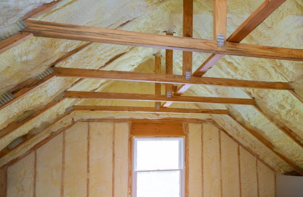 Best Residential Insulation in Hartsville, SC